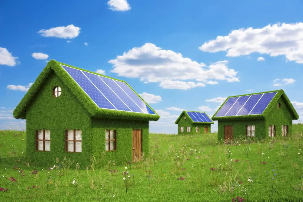 Green homes with vine covered walls and solar panels